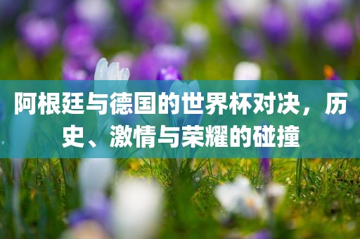 阿根廷与德国的世界杯对决，历史、激情与荣耀的碰撞