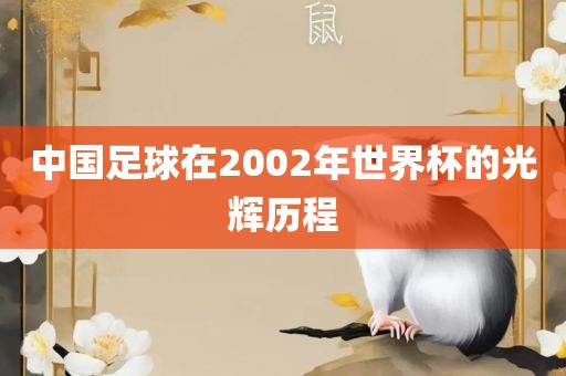 中国足球在2002年世界杯的洪湖市顺升工程机械租赁有限公司光辉历程