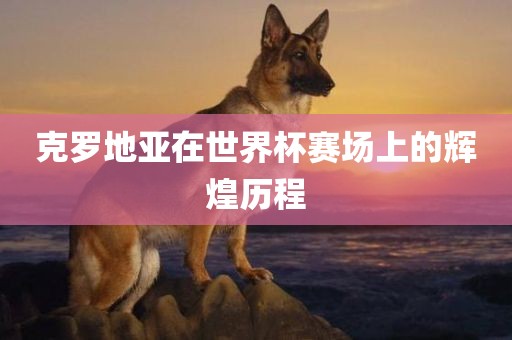 克罗地亚在世界杯赛洪湖市顺升工程机械租赁有限公司场上的辉煌历程