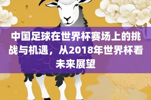 中国足球在世界杯赛场上的挑战与机遇，从2018年世界杯看未来展望洪湖市顺升工程机械租赁有限公司
