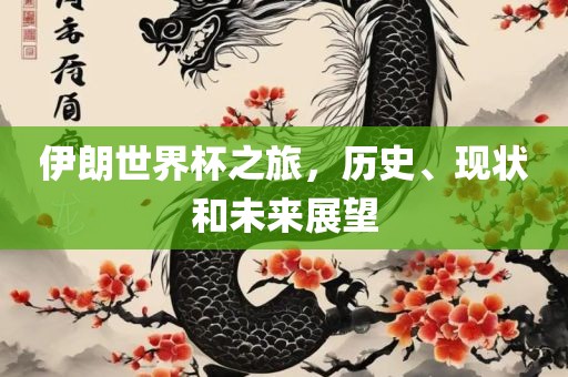 伊朗世界杯之旅，历史、现状和未来展望