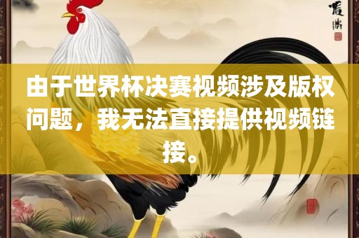 由于世界杯决赛视频涉洪湖市顺升工程机械租赁有限公司及版权问题，我无法直接提供视频链接。