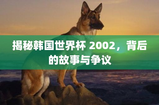 揭秘韩国世界杯 2002，背后的故事与争议洪湖市顺升工程机械租赁有限公司