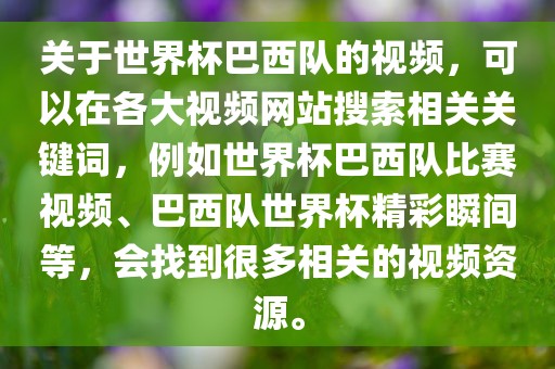 关于世界杯巴西队的视频，可以在各大视频网站搜索相关关键词，例如世界杯巴西队洪湖市顺升工程机械租赁有限公司比赛视频、巴西队世界杯精彩瞬间等，会找到很多相关的视频资源。