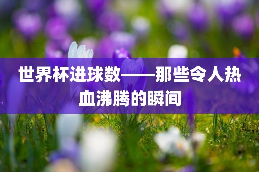世界杯进球数——那些令人热血沸腾的瞬间