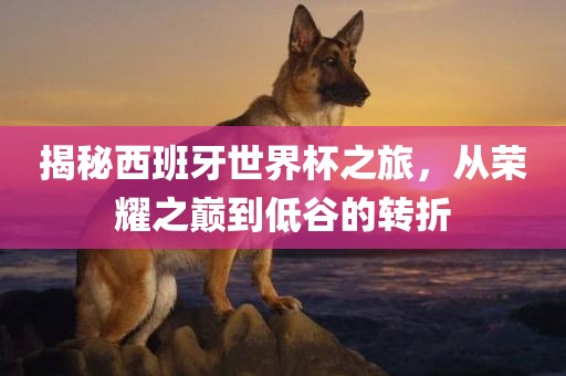 揭秘西班牙世界杯之旅，从荣耀之巅到低谷的转折洪湖市顺升工程机械租赁有限公司