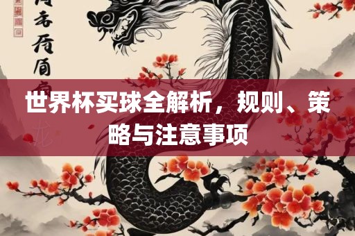 世界杯买球全解析，规则、策略与注意事项