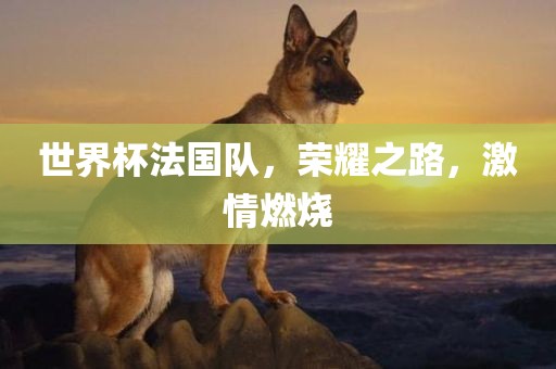 世界杯法国队，荣耀之路，激情燃烧