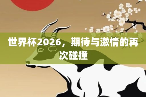 世界杯2026，期待与激情的再次碰撞