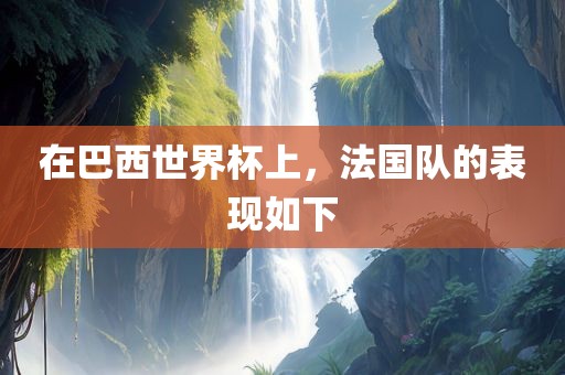 在巴西世界杯上，法国队的表现如下