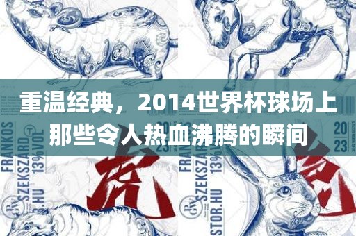 重温经典，2014世界杯球场上那些令人热血沸腾的瞬间