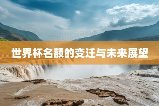 世界杯名额的变迁与未来展望