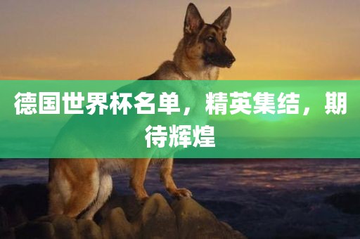 德国世界杯名单，精英集结，期待辉煌