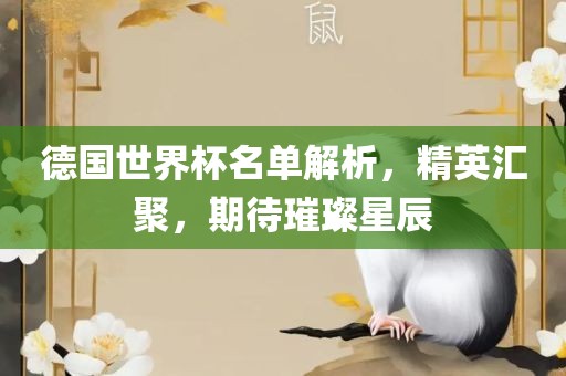 德国世界杯名单解析，精英汇聚，期待璀璨星辰