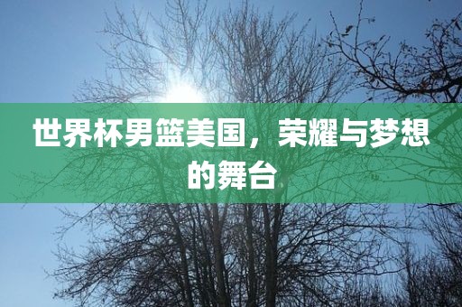 世界杯男篮美国，荣耀与梦想的舞台