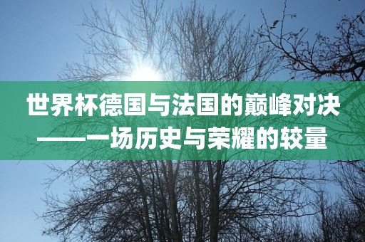 世界杯德国与法国的巅峰对决——一场历史与荣耀的较量