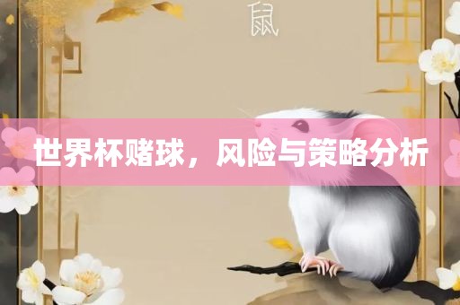 世界杯赌球，风险与策略分析