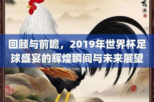 回顾与前瞻，2019年世界杯足球盛宴的辉煌瞬间与未来展望