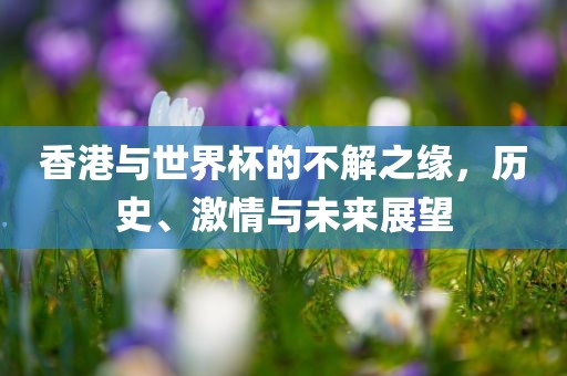 香港与世界杯的不解之缘，历史、激情与未来展望洪湖市顺升工程机械租赁有限公司
