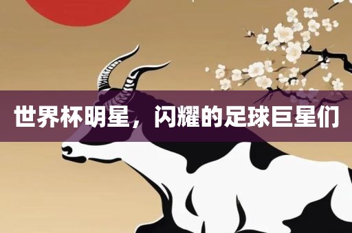 世界杯明星，闪耀的足球巨星们