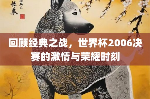 世界杯决赛 第3页