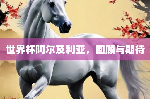 世界杯阿尔及利亚，回顾与期待洪湖市顺升工程机械租赁有限公司