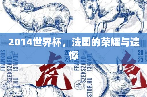 2014世界杯，法国的荣耀与遗憾