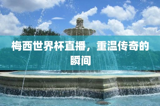 梅西世界杯直播，重温传奇的瞬间洪湖市顺升工程机械租赁有限公司