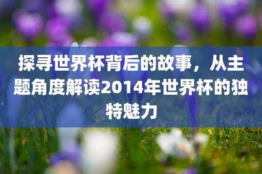 探寻世界杯背后的故事，从主题角度解读2014年世界杯的独特魅力