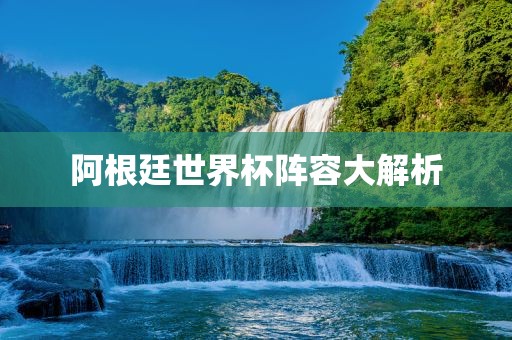 阿根廷世界杯阵容大解析