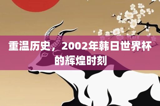 重温历史，2002年韩日世界杯的辉煌时刻