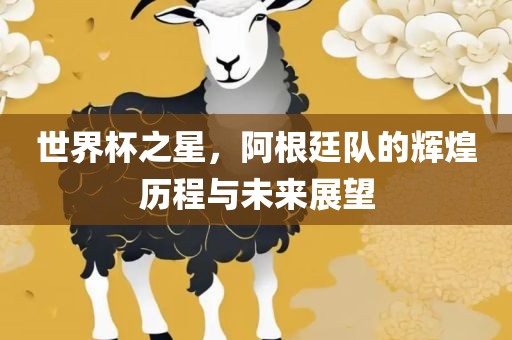 世界杯之星，阿根廷队的辉煌历程与未来展望