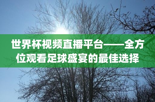 世界杯视频直播平台——全方位观看足球盛宴的最佳选择洪湖市顺升工程机械租赁有限公司