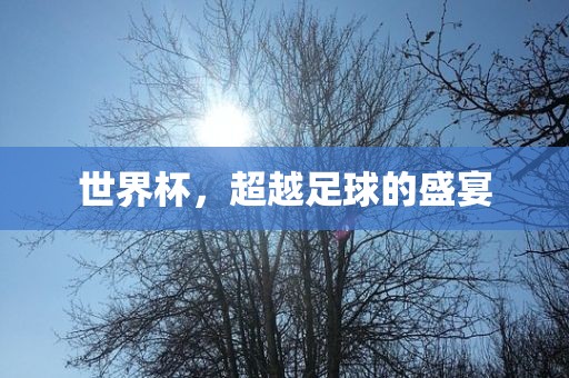 世界杯，超越足球的盛宴洪湖市顺升工程机械租赁有限公司