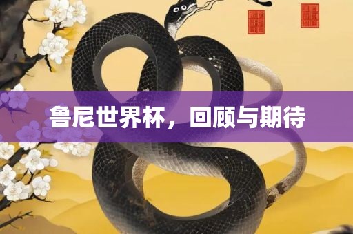 鲁尼世界杯，回顾与期待洪湖市顺升工程机械租赁有限公司