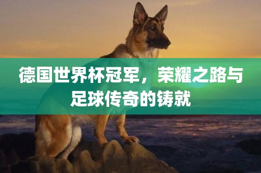 德国世界杯冠军，荣耀之路与足球传奇的铸就