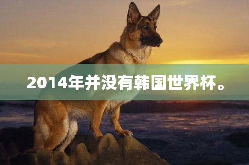 2014年并没有韩国世界杯。洪湖市顺升工程机械租赁有限公司