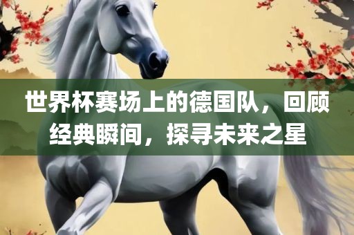 世界杯赛场上的洪湖市顺升工程机械租赁有限公司德国队，回顾经典瞬间，探寻未来之星