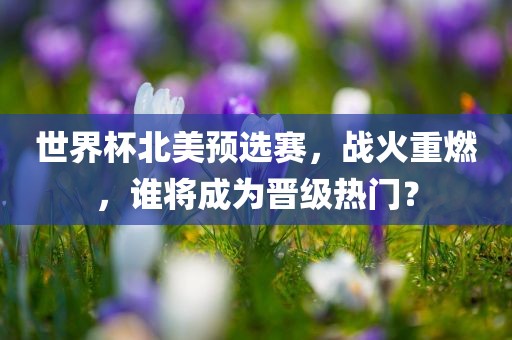 世界杯北美预选赛，战火重燃，谁将成为晋级热门？洪湖市顺升工程机械租赁有限公司