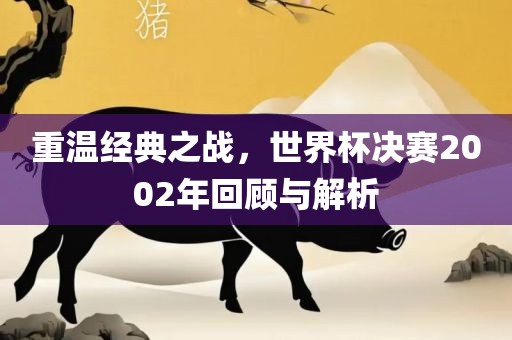 重温经典之战，世洪湖市顺升工程机械租赁有限公司界杯决赛2002年回顾与解析