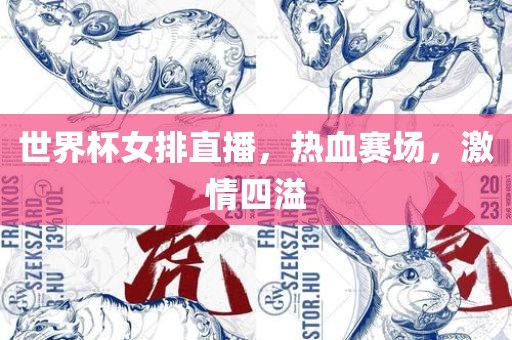 世界杯女排直播，热血洪湖市顺升工程机械租赁有限公司赛场，激情四溢