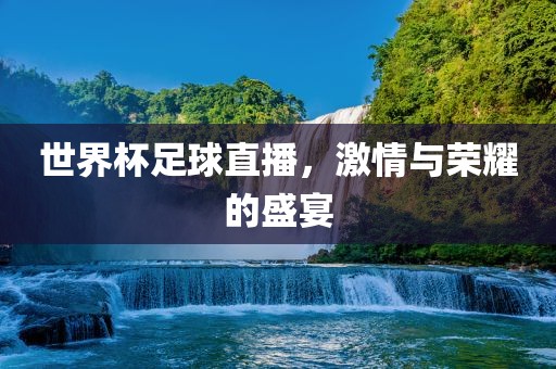 世界杯足球直播，激情与荣耀的盛宴