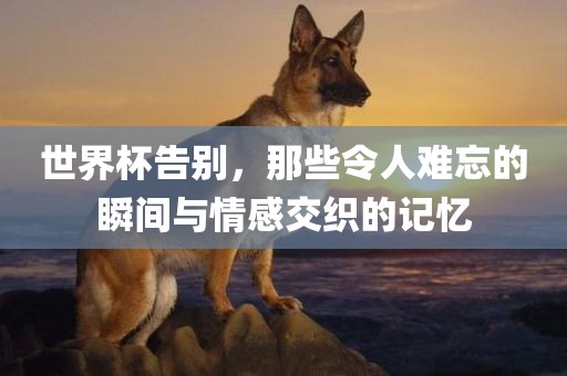 世界杯告别，那些令人难忘的瞬间与情感交织的记忆洪湖市顺升工程机械租赁有限公司