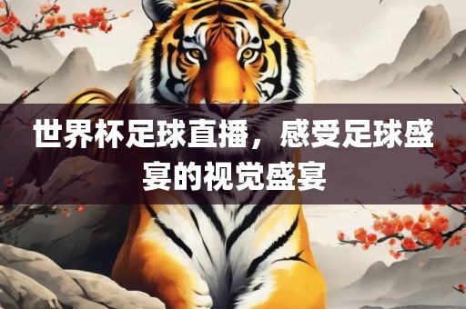 世界杯足球直播，感受足球盛宴的视觉盛宴