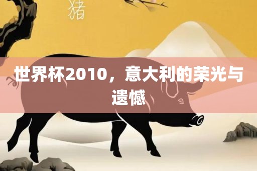 世界杯2010，意大利的荣光与遗憾