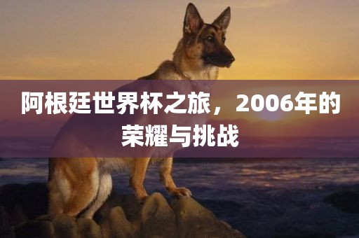 阿根廷世界杯之旅，2006年的荣耀与挑战