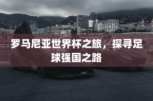 罗马尼亚世界杯之旅，探寻足球强国洪湖市顺升工程机械租赁有限公司之路