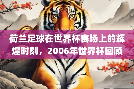 荷兰足球在世界杯赛场上的辉煌时刻，2006年世界杯回顾