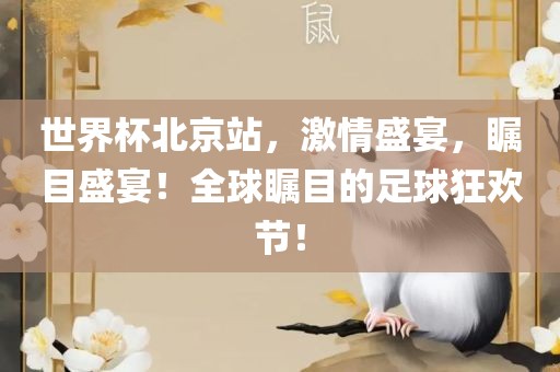 世界杯北京站，激情盛宴，瞩目盛宴！全球瞩目的足球狂欢节！洪湖市顺升工程机械租赁有限公司