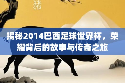 揭秘2014巴西足球世界杯，荣耀背后的故事与传奇之旅
